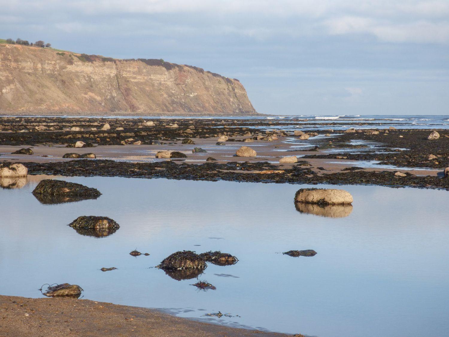 Pebble Cottage Whitby Bagian luar foto